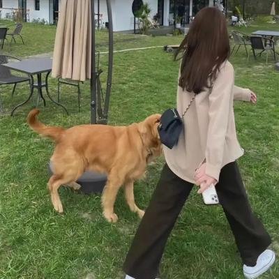 万花吐艳